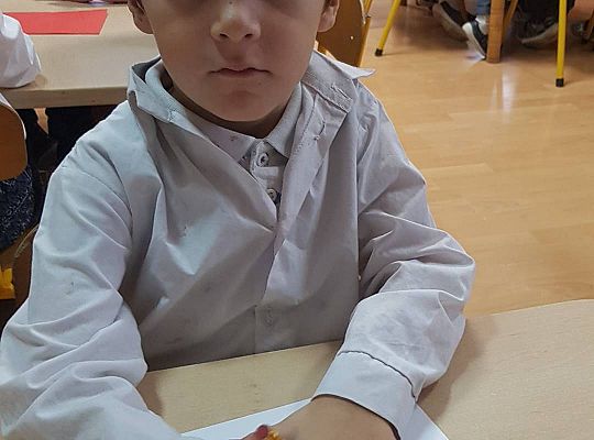 GR IV Praca techniczna - kotylion