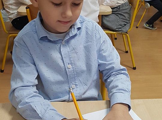 GR IV Praca techniczna - kotylion