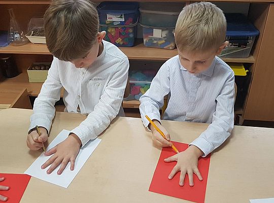 GR IV Praca techniczna - kotylion