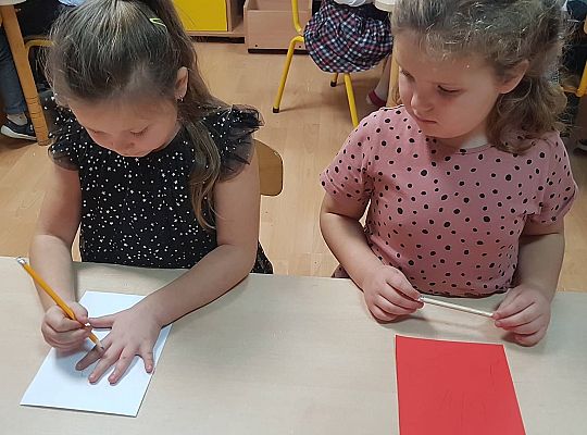 GR IV Praca techniczna - kotylion