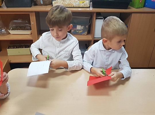 GR IV Praca techniczna - kotylion