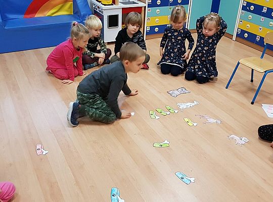 Gr II Moi domowi ulubieńcy