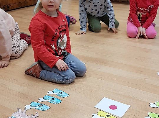 Gr II Moi domowi ulubieńcy