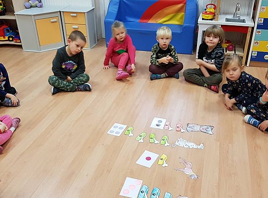 Gr II Moi domowi ulubieńcy