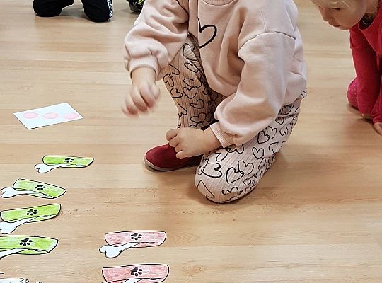 Gr II Moi domowi ulubieńcy