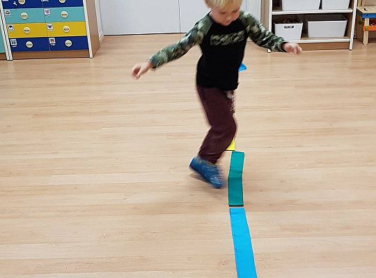 Gr II Moi domowi ulubieńcy