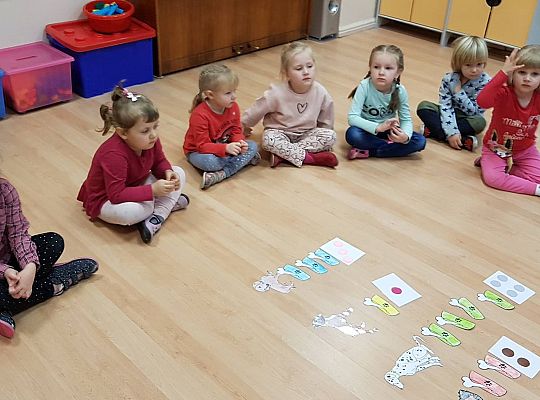 Gr II Moi domowi ulubieńcy