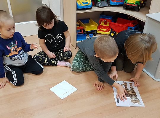 Gr II Moi domowi ulubieńcy