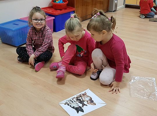 Gr II Moi domowi ulubieńcy