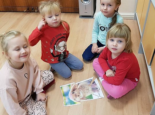 Gr II Moi domowi ulubieńcy