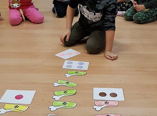 Gr II Moi domowi ulubieńcy