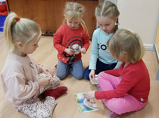 Gr II Moi domowi ulubieńcy