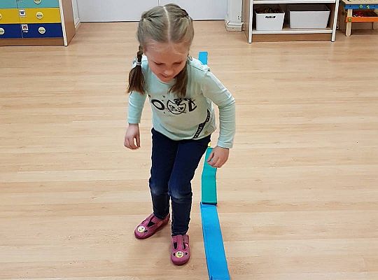 Gr II Moi domowi ulubieńcy