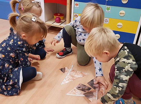 Gr II Moi domowi ulubieńcy