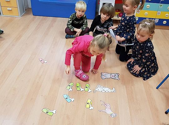 Gr II Moi domowi ulubieńcy