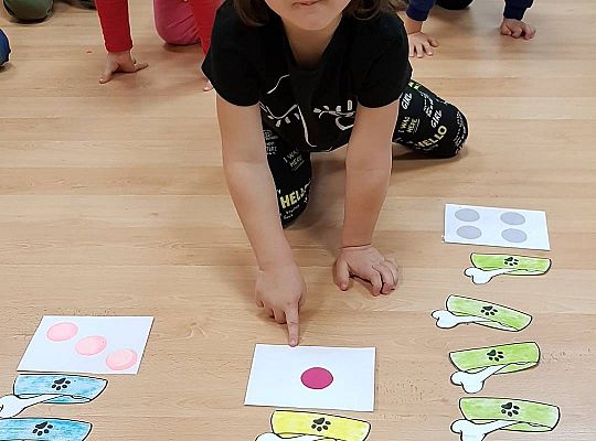 Gr II Moi domowi ulubieńcy