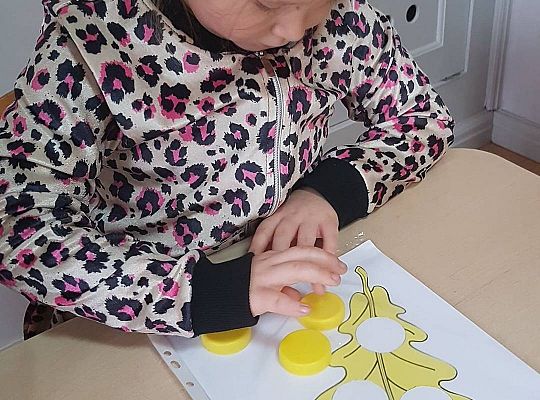 GR IV Jesienne karty sensoryczne