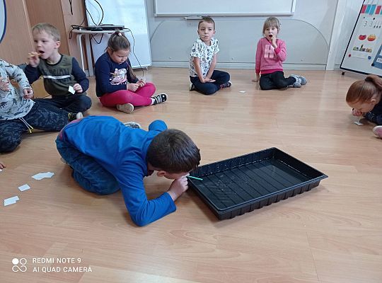 GR IV "Jesienna szaruga", "Jak powstaje fala"