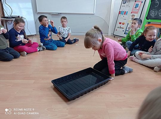 GR IV "Jesienna szaruga", "Jak powstaje fala"