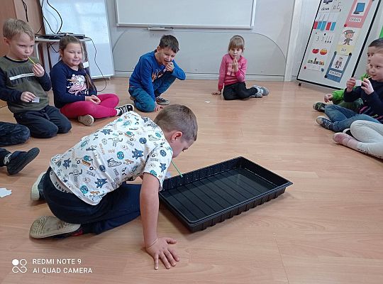 GR IV "Jesienna szaruga", "Jak powstaje fala"