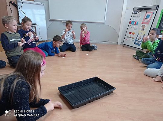 GR IV "Jesienna szaruga", "Jak powstaje fala"