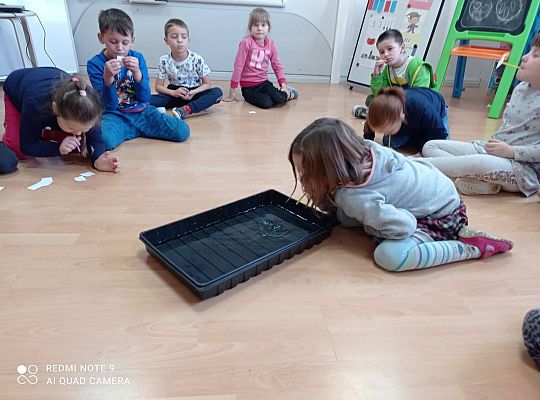 GR IV "Jesienna szaruga", "Jak powstaje fala"