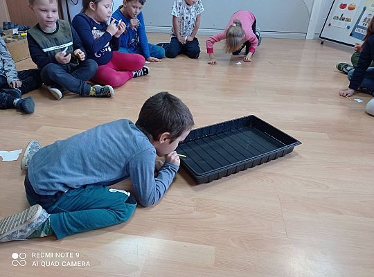 GR IV "Jesienna szaruga", "Jak powstaje fala"