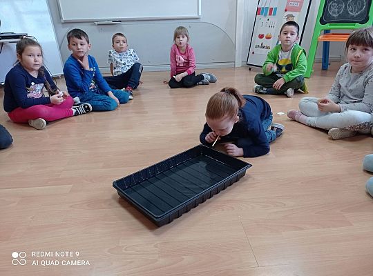 GR IV "Jesienna szaruga", "Jak powstaje fala"