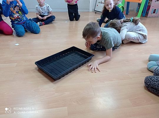 GR IV "Jesienna szaruga", "Jak powstaje fala"