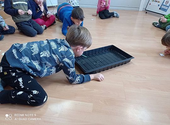 GR IV "Jesienna szaruga", "Jak powstaje fala"