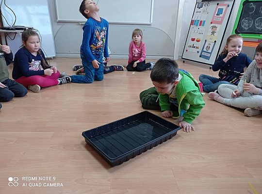 GR IV "Jesienna szaruga", "Jak powstaje fala"