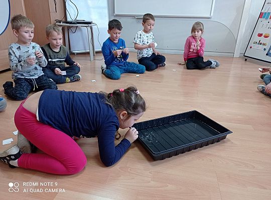 GR IV "Jesienna szaruga", "Jak powstaje fala"