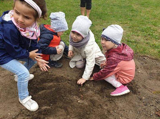 Polski Związek Łowiecki - Zarząd Okręgowy w Słupsku