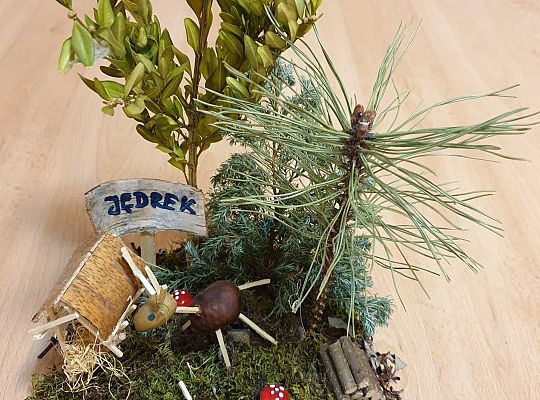 Gr.I Konkurs fotograficzny" Dzikie wysypiska śmieci" i konkurs plastyczny " Piękno naszej przyrody"