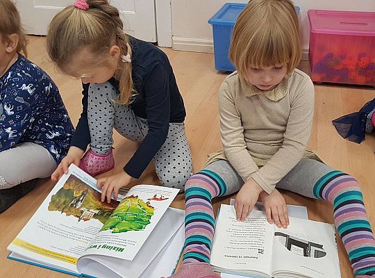 Gr.II Konkurs fotograficzny" Dzikie wysypiska śmieci"