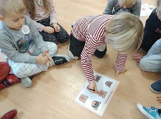 Gr II Dzień Pluszowego Misia