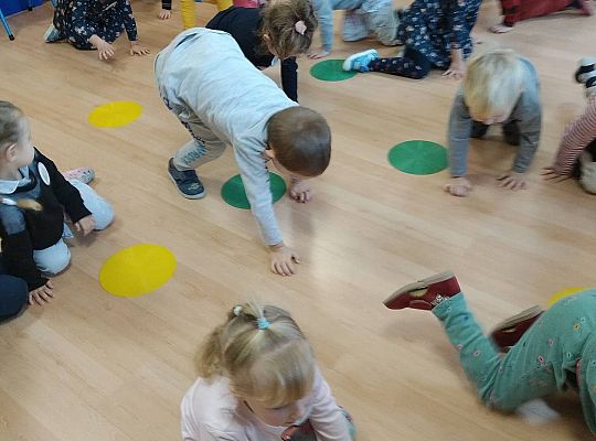 Gr II Dzień Pluszowego Misia