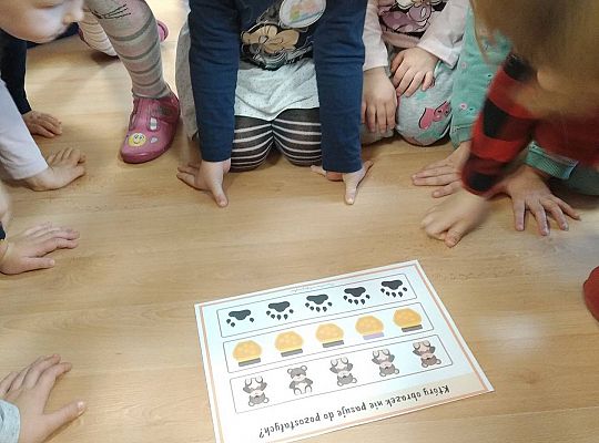 Gr II Dzień Pluszowego Misia