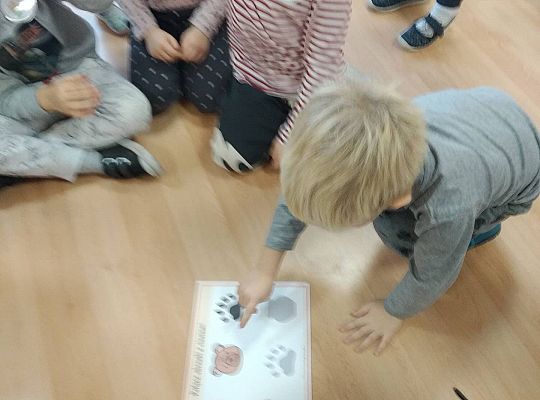 Gr II Dzień Pluszowego Misia