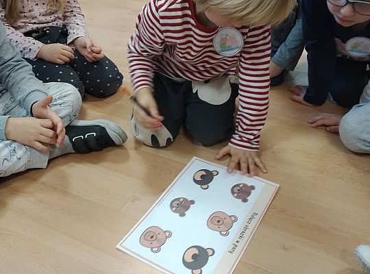 Gr II Dzień Pluszowego Misia