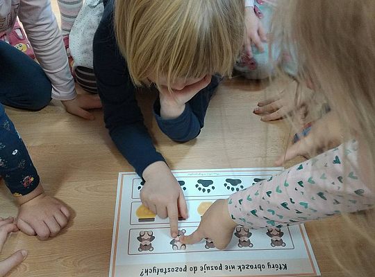 Gr II Dzień Pluszowego Misia