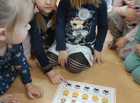 Gr II Dzień Pluszowego Misia