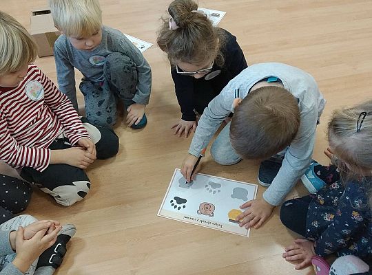 Gr II Dzień Pluszowego Misia