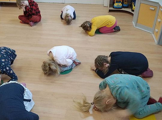 Gr II Dzień Pluszowego Misia