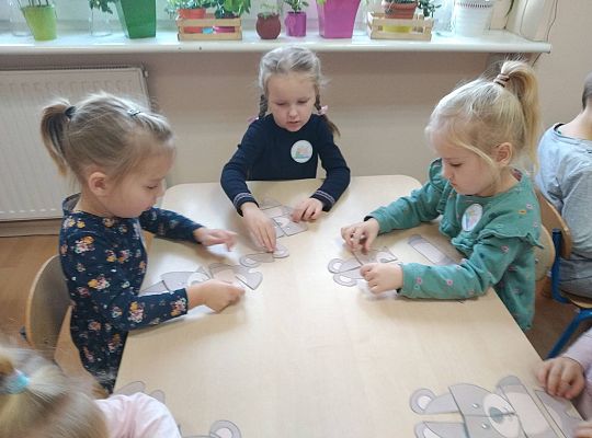 Gr II Dzień Pluszowego Misia