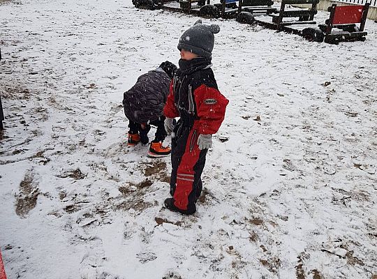 Gr II Śnieg pada, śnieg pada