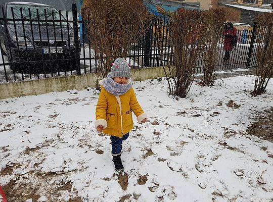 Gr II Śnieg pada, śnieg pada