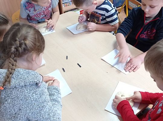 GR IV Medale z masy solnej