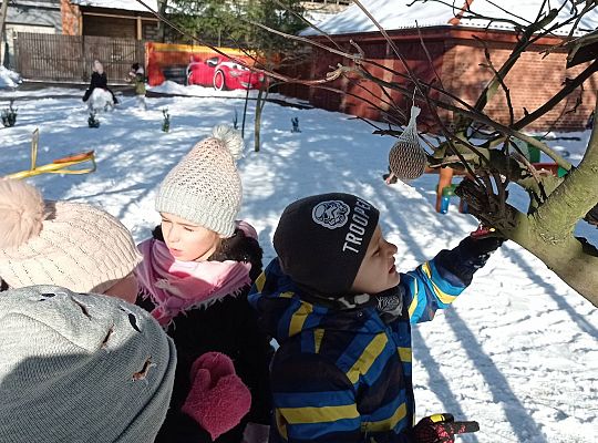 GR IV Dokarmiamy ptaki