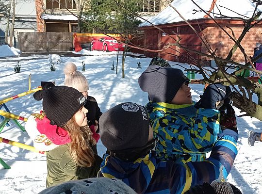 GR IV Dokarmiamy ptaki